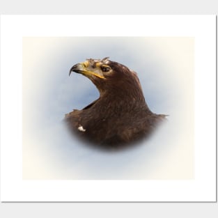 Steppe eagle Posters and Art